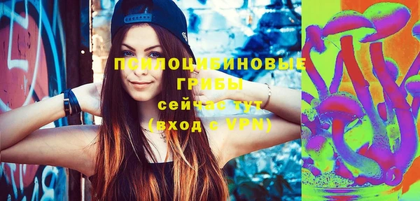 а пвп мука Богданович