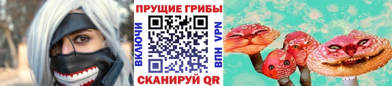 Галлюциногенные грибы мухоморы Щучье